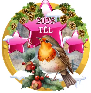 Elindult a Téli Kihívás!