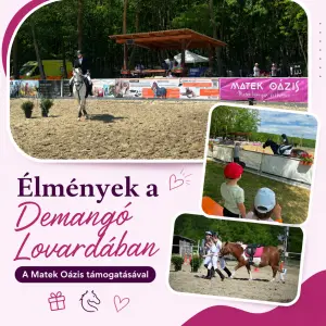 Élményekkel teli nap a Demangó Lovardában
