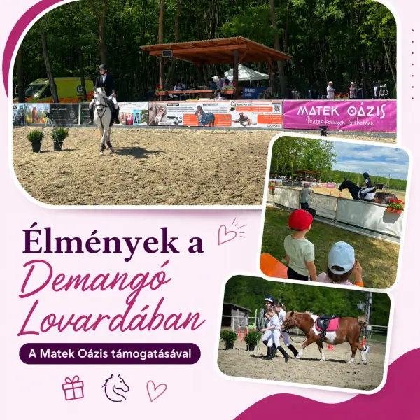 Élményekkel teli nap a Demangó Lovardában