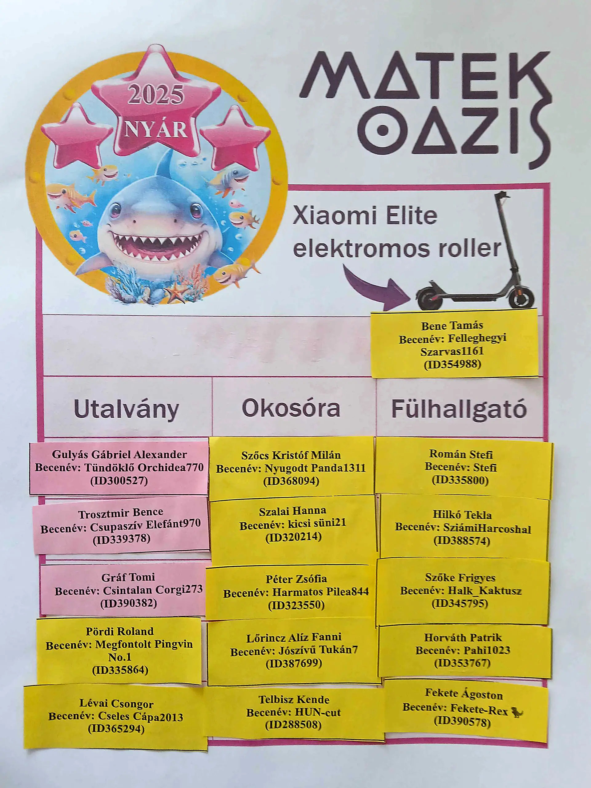 Évvégi Jegyjavító Kihívás -  Nyertesek