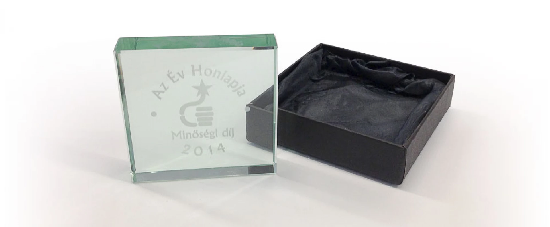 Év honlapja 2014 Gravír