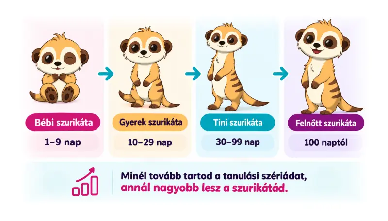 A szurikáta fejlődési adatlapja: aktuális szint, tanulási széria és a következő szintig hátralévő idő