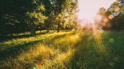 2021. évi pótfeladatsor 1-8. feladat