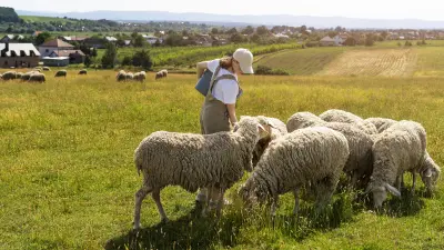 2024. évi pótfeladatsor 1-8. feladat