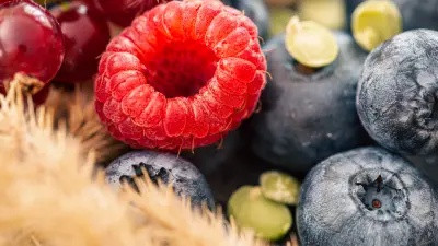 6. A föld alól - elbeszélő fogalmazás (2022/2)