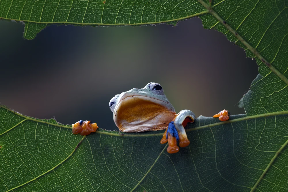 A hosszúság - kilométer