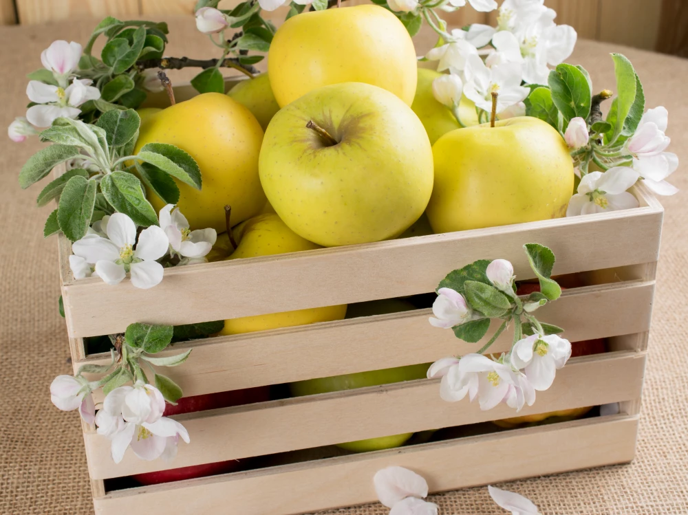 Összeadás-kivonás +/- számokkal