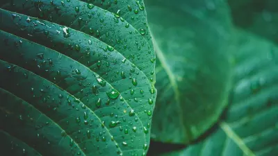 A 2022. évi 1. feladatsor