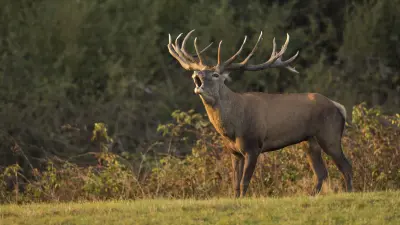 A 2023. évi 1. feladatsor