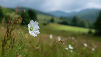 A 2026. évi 2. feladatsor