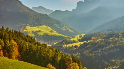 A szavak alakja és jelentése