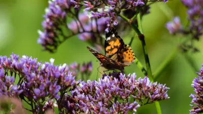 2. A főnév fajtái és helyesírásuk