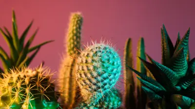 Hogyan írj fogalmazást?