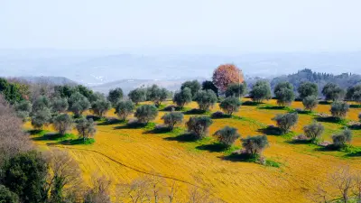 1. A farsang (2022/2)