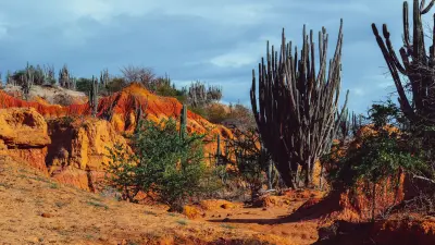 5. Az osztály vesztese (2026/1)