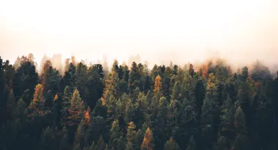 2025/I. szövegértés