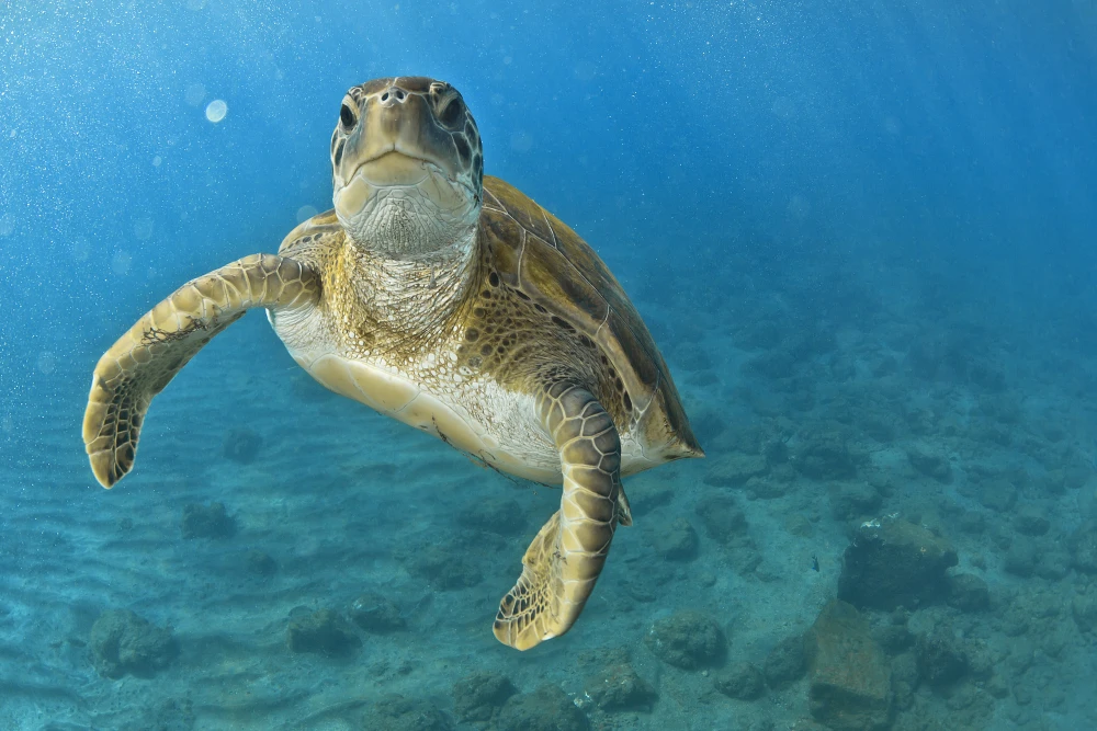 Írásbeli összeadás-kivonás - nehezebb feladatok
