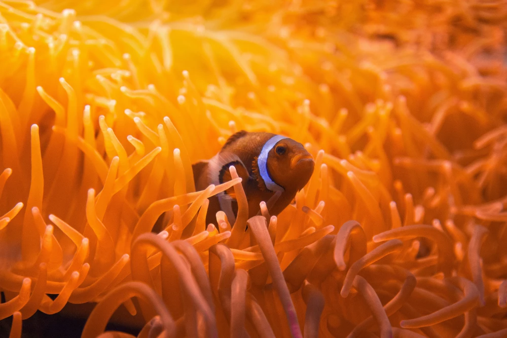 Patakparti játék: Számok 3-ig