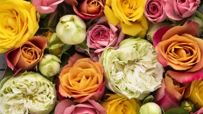 2. Késő lett - elbeszélő fogalmazás (2023/2)