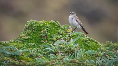 KvízKedd 2025. augusztus