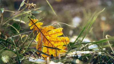 KvízKedd 2025. szeptember