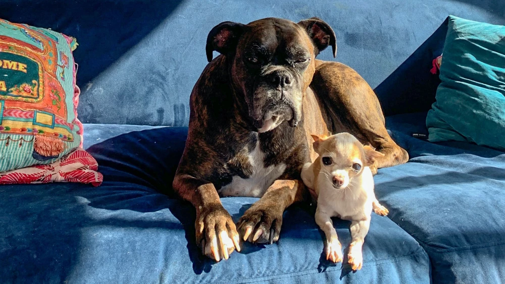 Összefoglaló teszt 1. rész