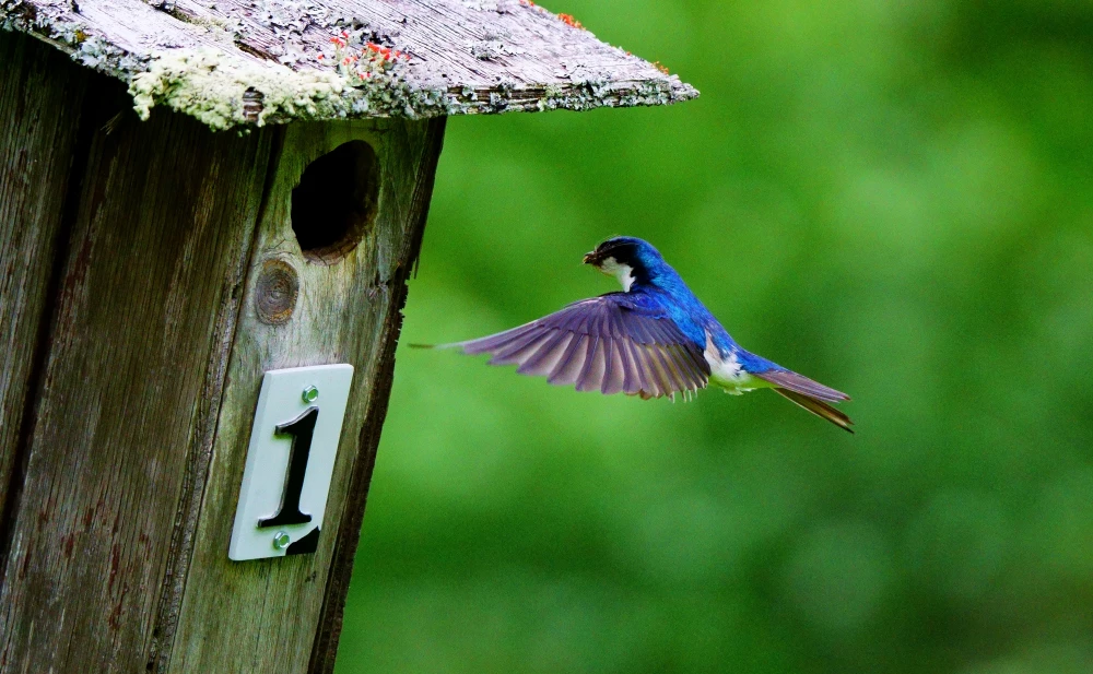 Számok 7-ig I. rész