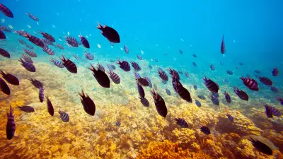 Tizedestörtek - további gyakorlás