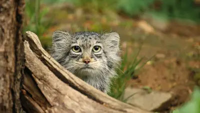 A megoldásokból indulunk ki 2.