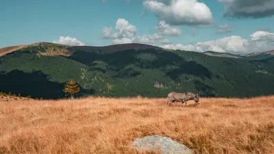 Dobókockás feladatok