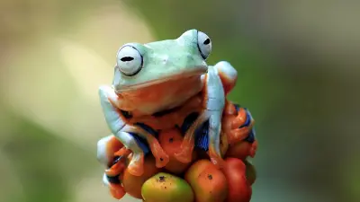 Lehető legtöbb, legkevesebb 1.