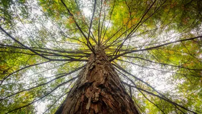 Lehető legtöbb, legkevesebb 2.