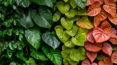 Nehezebb szövegesek 1.