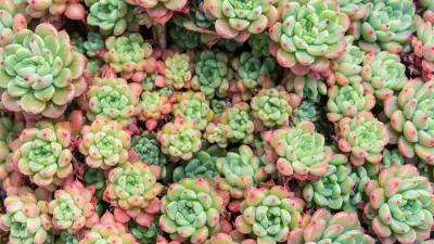 Próba feladatsor 1.