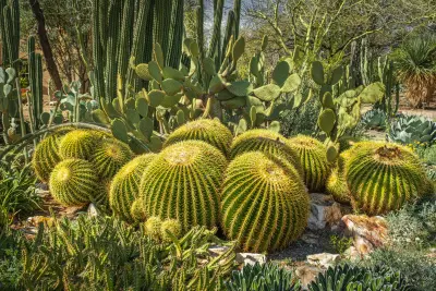 Hogyan írj fogalmazást? Mese 2.